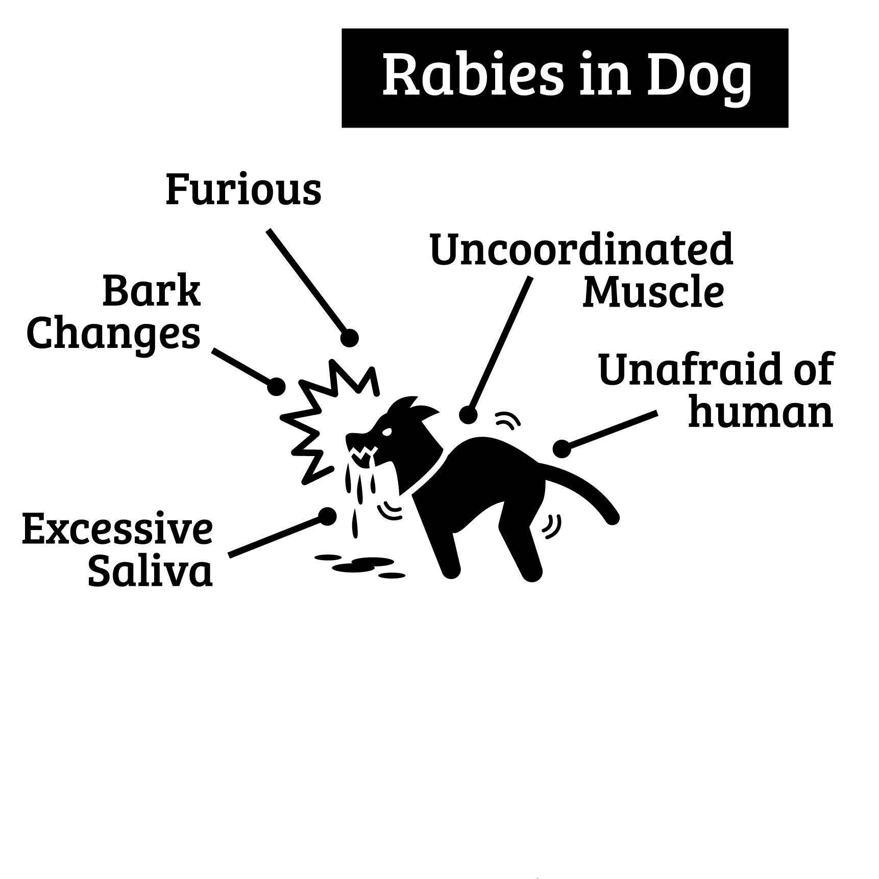 hero afbeelding blog