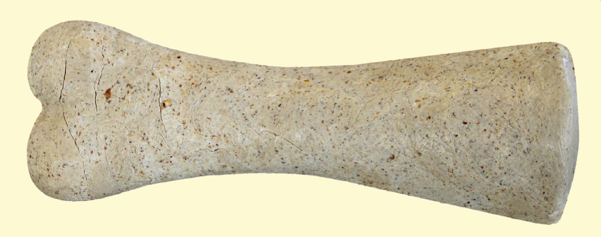 hero afbeelding blog