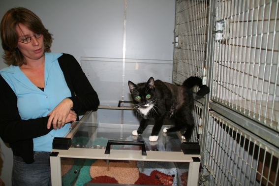 En Otje was helemaal gelukkig om het baasje weer te zien.