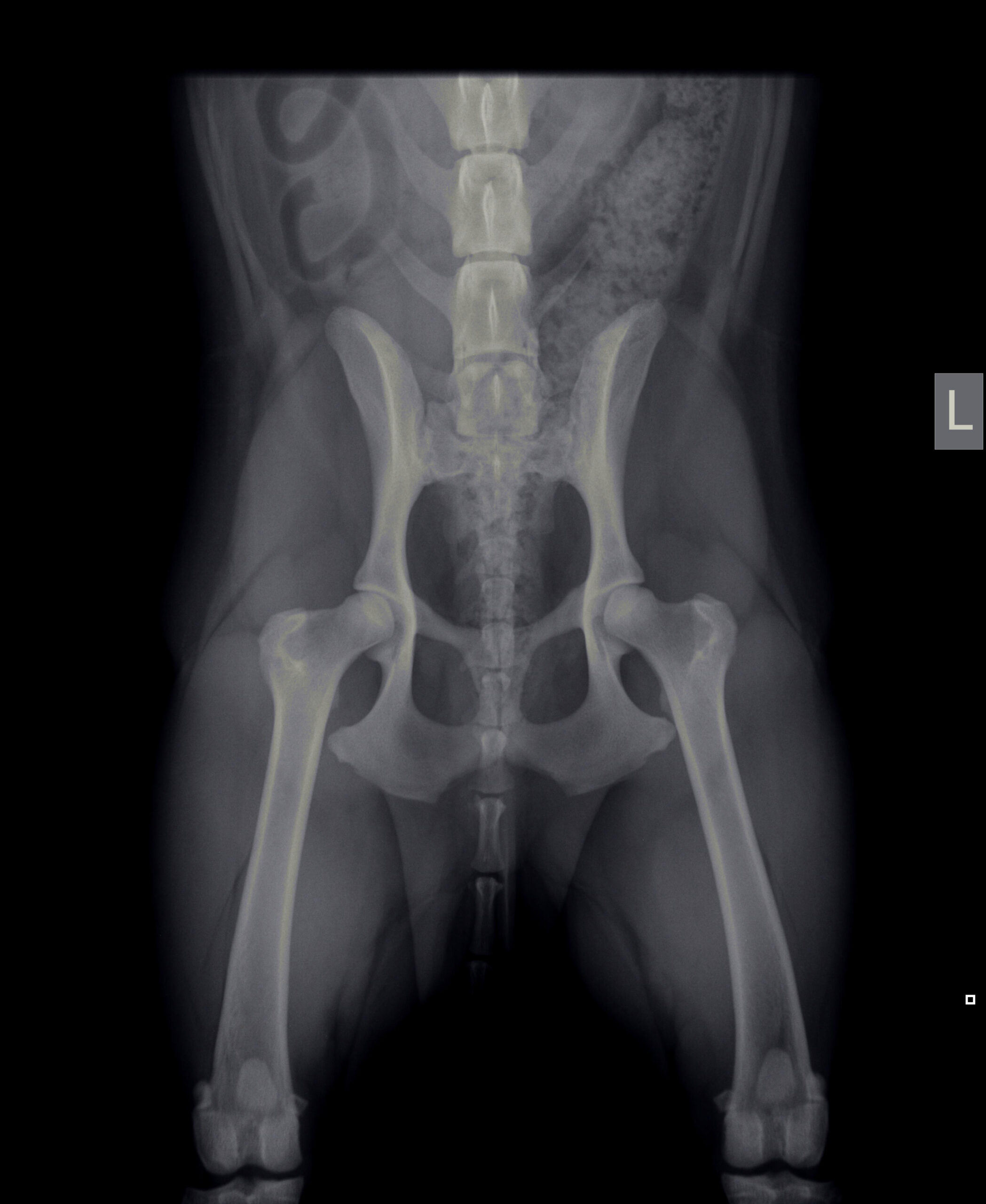 hero afbeelding diagnostiek