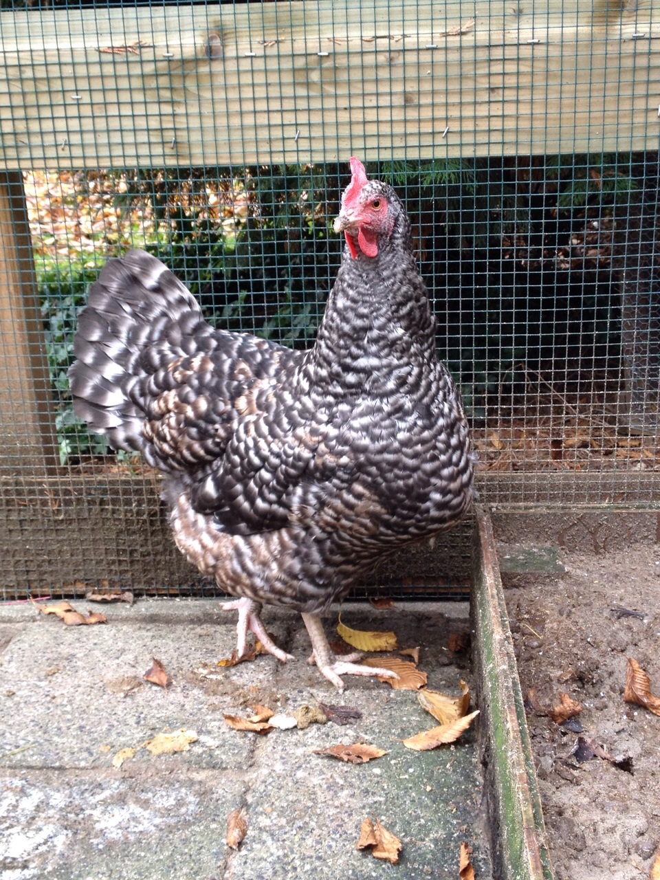 hero afbeelding blog