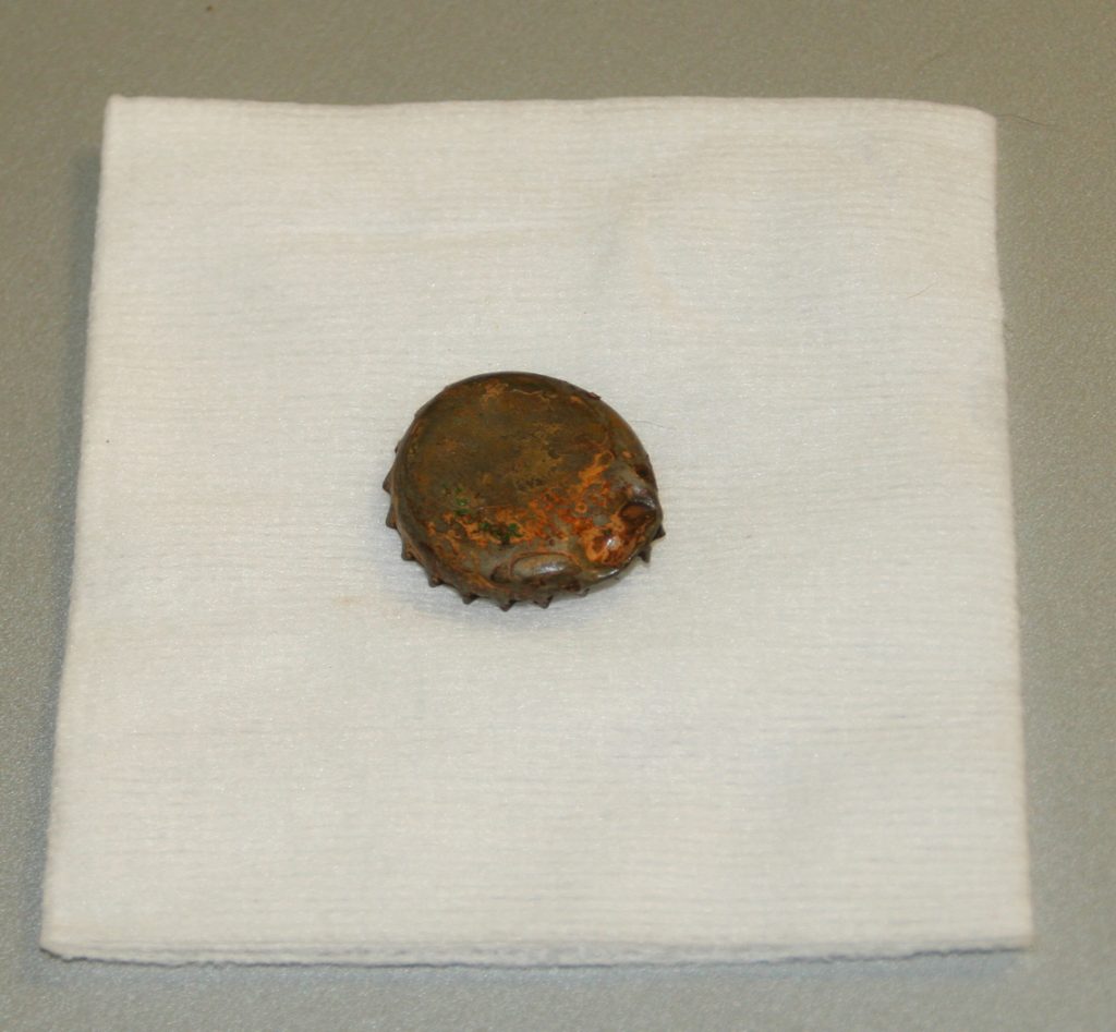 kroonkurk die uit de maag van een hond is verwijderd