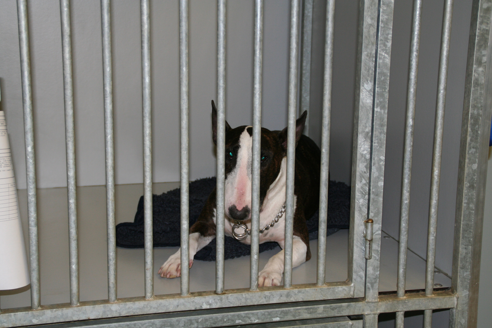 hero afbeelding blog