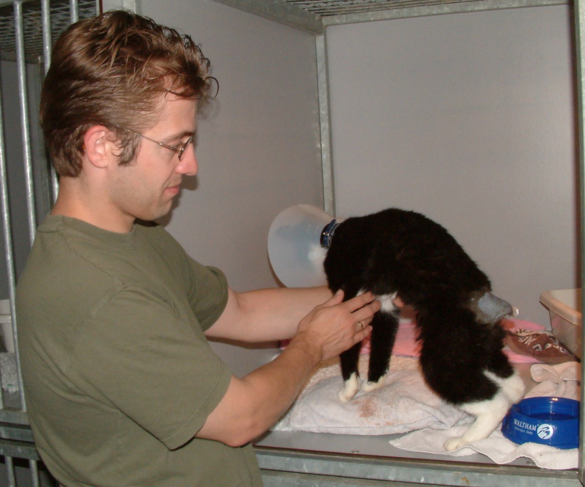 hero afbeelding blog