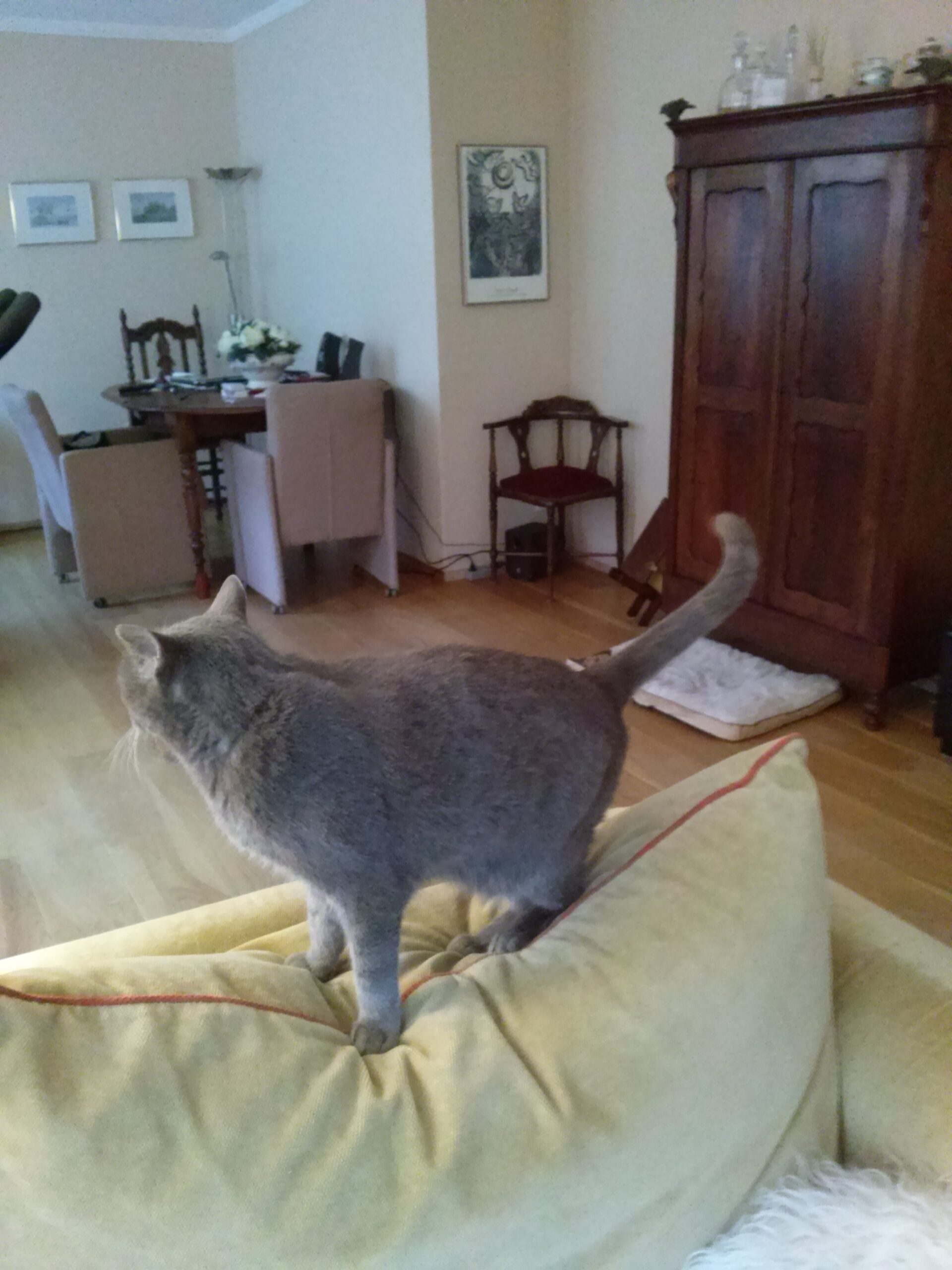 hero afbeelding blog