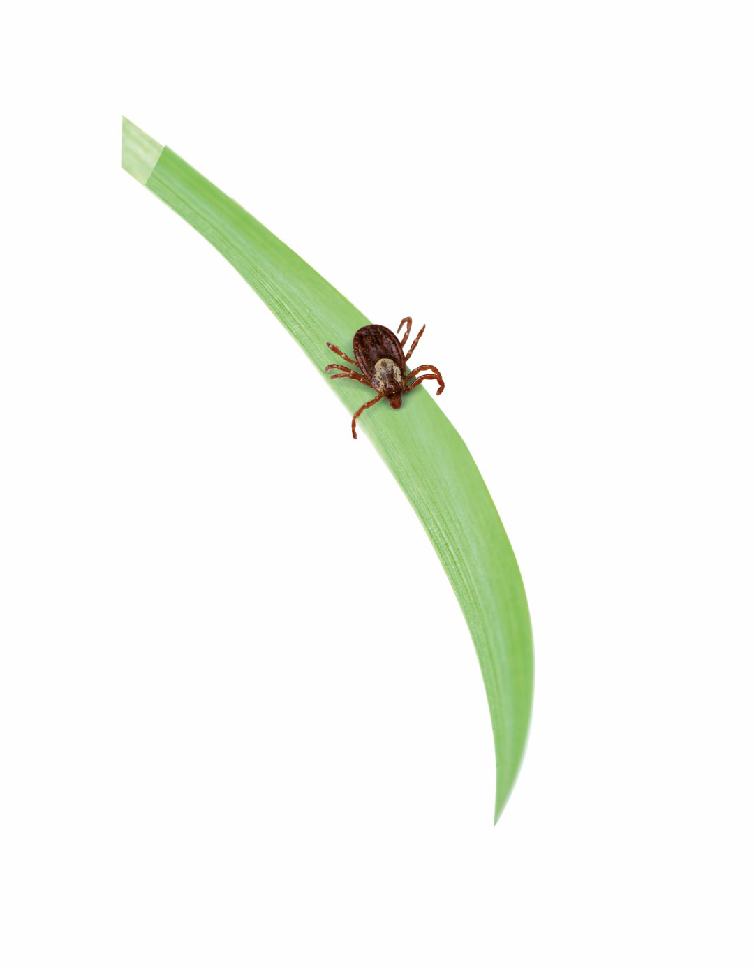 hero afbeelding blog