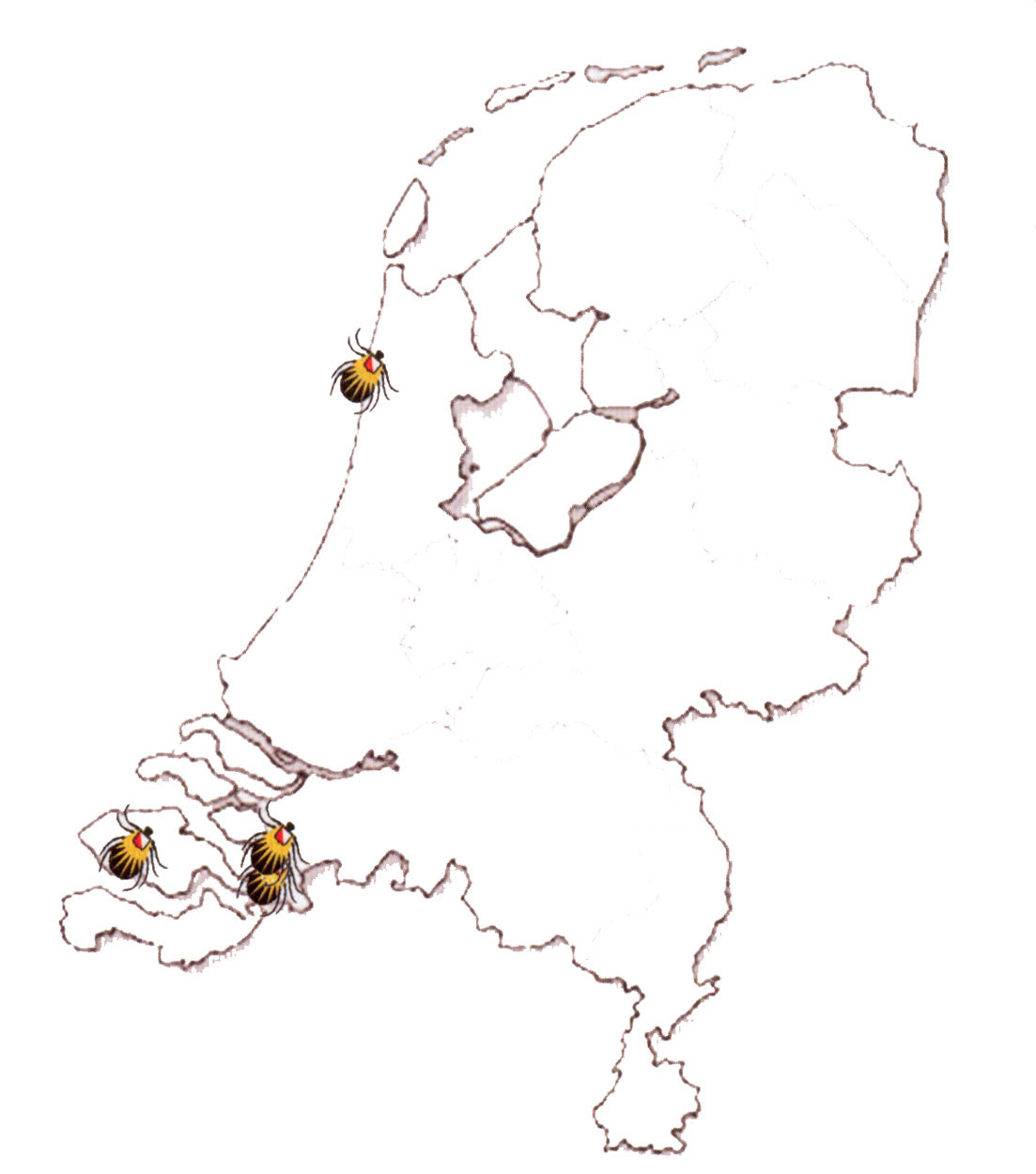 hero afbeelding blog