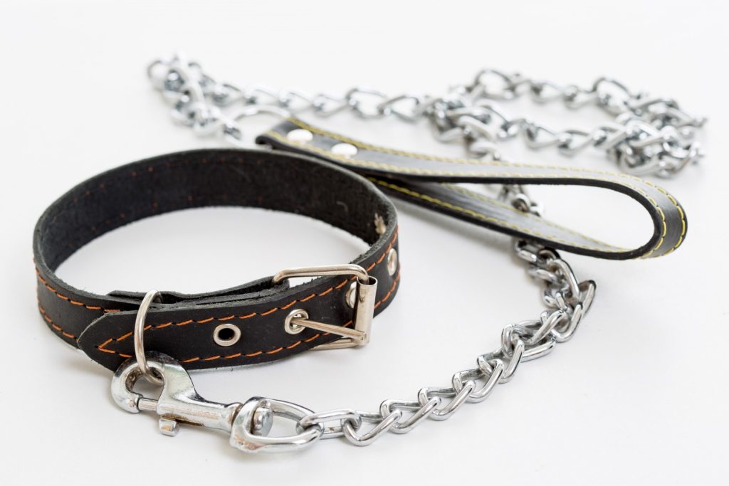 afbeelding Vermiste honden