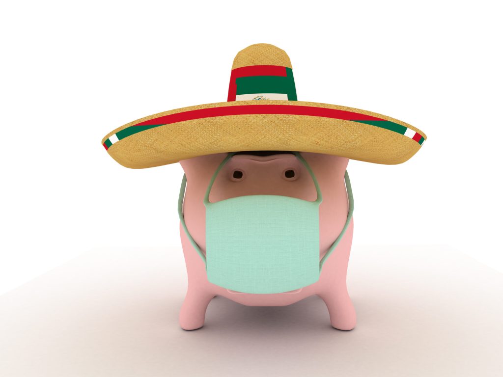 afbeelding Rol dieren in H1N1-epidemie (Mexicaanse Griep)