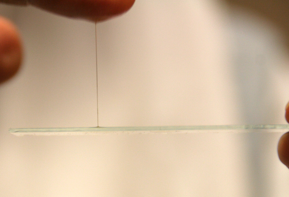 Dierenkliniek Tiel-Drumpt: Dit is draden trekkend optima forma. Er zijn dan weinig andere opties dan FIP.