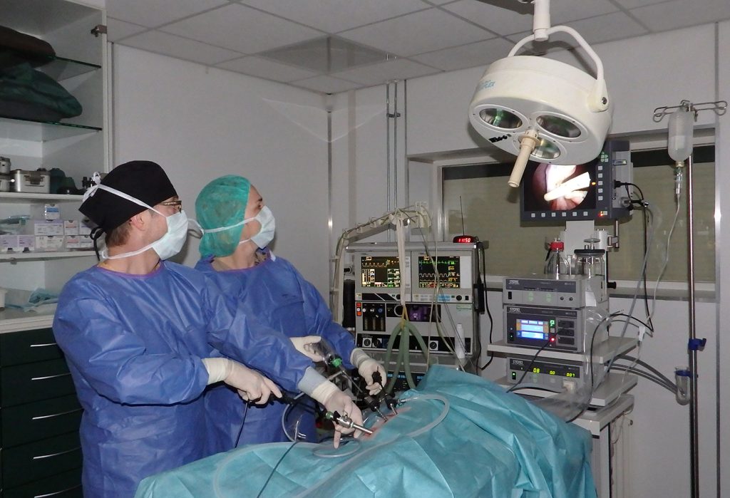 afbeelding Mijn huisdier laten opereren, maar bij welke dierenarts?