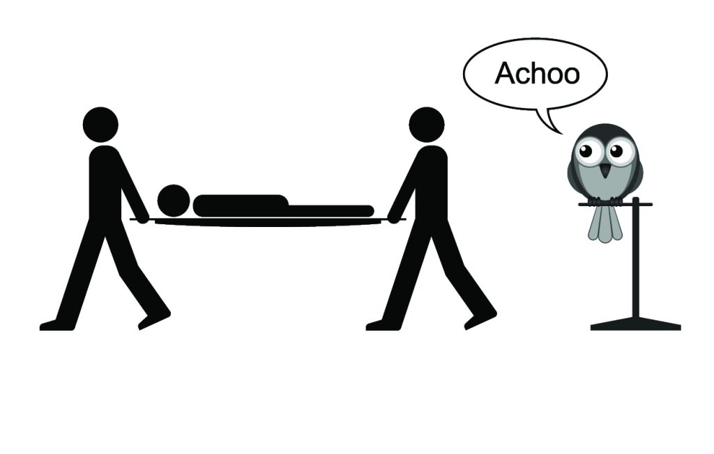 Dierenkliniek Tiel-Drumpt: Papegaaienziekte is besmettelijk voor de mens.