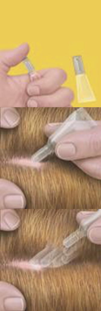 Dierenkliniek Tiel-Drumpt: Toedieningswijze stronghold plus