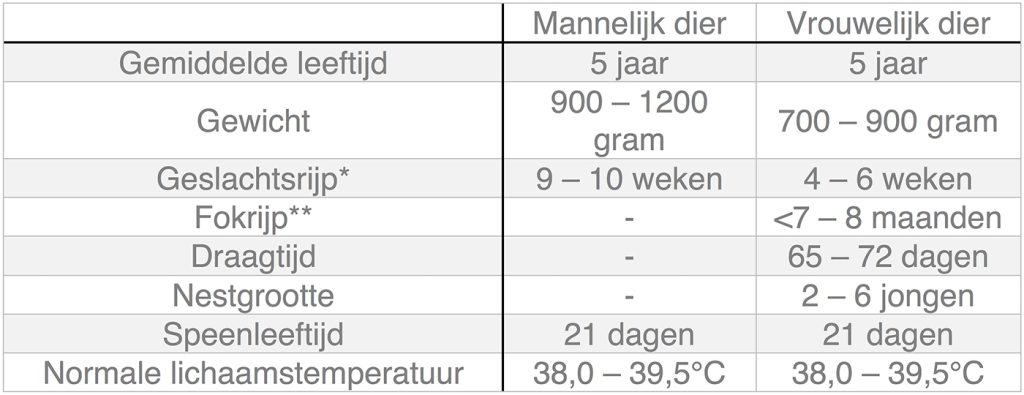 Dierenkliniek Tiel-Drumpt: In deze tabel kunt u algemene informatie terugvinden over de cavia.