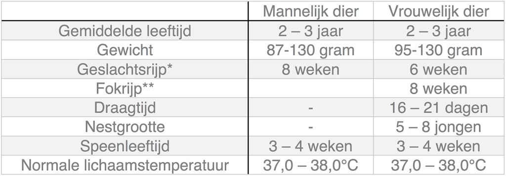 Dierenkliniek Tiel-Drumpt: In deze tabel kunt u algemene informatie terugvinden over de hamster.