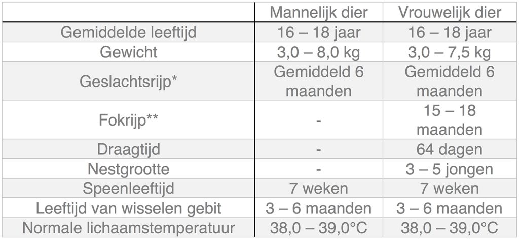 Dierenkliniek Tiel-Drumpt: In deze tabel kunt u algemene informatie terugvinden over de kat.
