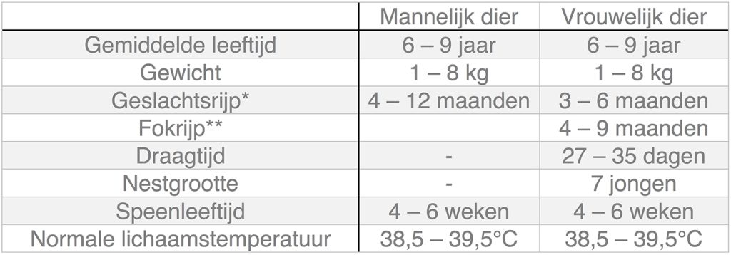 Dierenkliniek Tiel-Drumpt: In deze tabel kunt u algemene informatie terugvinden over het konijn.
