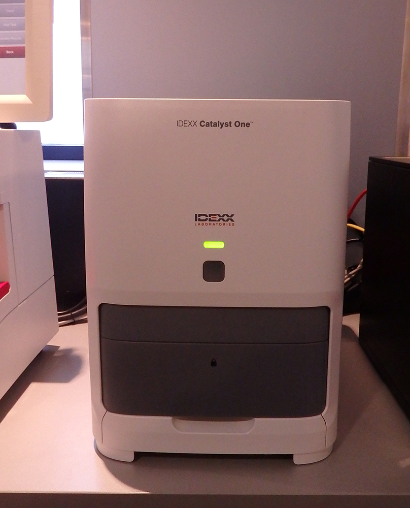 Dierenkliniek Tiel-Drumpt: Vernieuwing in ons laboratorium: de catalyst. De catalyst is een veelzijdig apparaat. Het mooiste is nog dat er steeds meer nieuwe testen voor ontwikkeld worden.