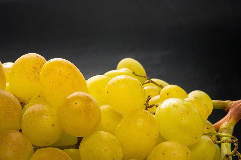 Dierenkliniek Tiel-Drumpt: Druivenvergiftiging, de sultana's