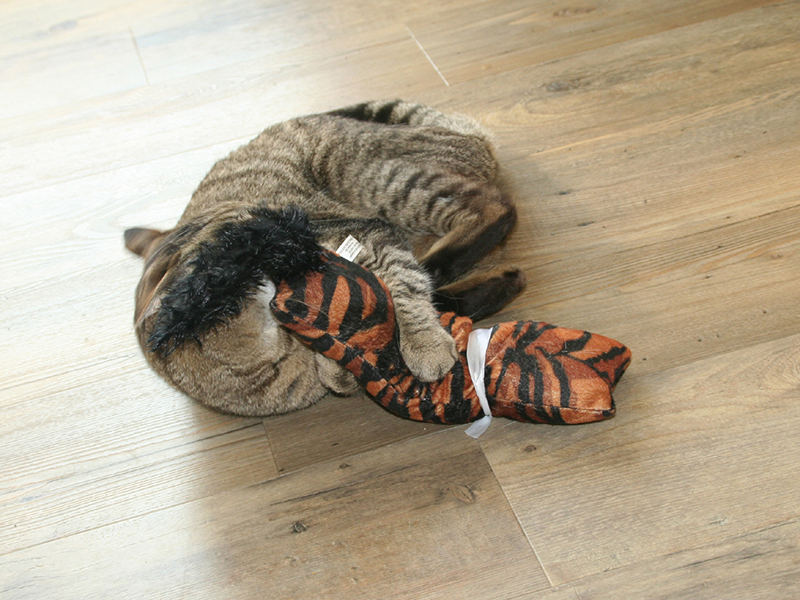 Dierenkliniek Tiel-Drumpt: We hebben een steeds wisselend assortiment aan speeltjes voor de hond en de kat.