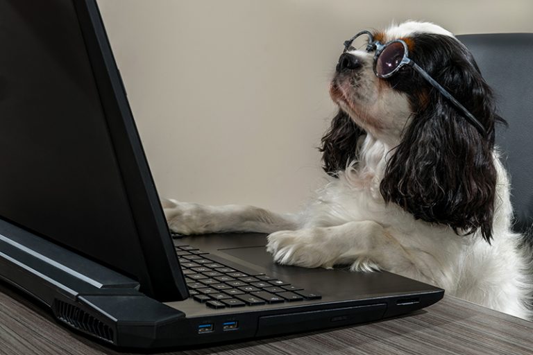 afbeelding Hoe maak ik een Online afspraak of reserveer ik producten