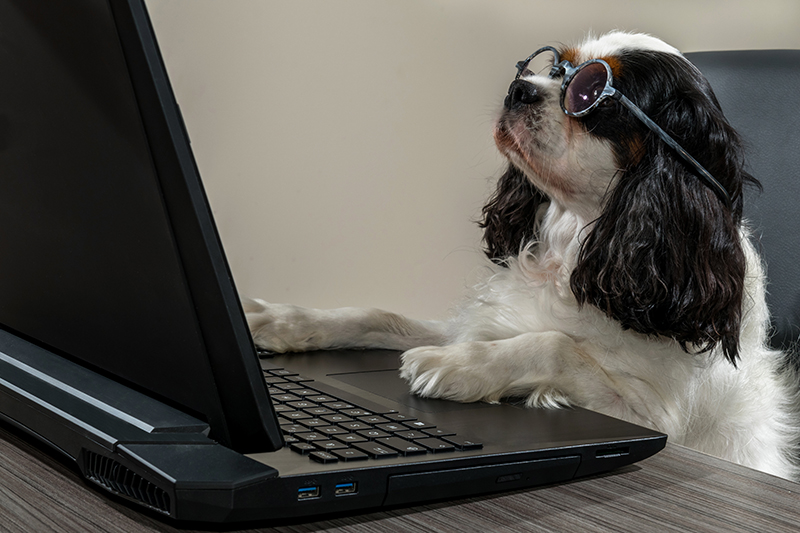 afbeelding Hoe maak ik een Online afspraak of reserveer ik producten