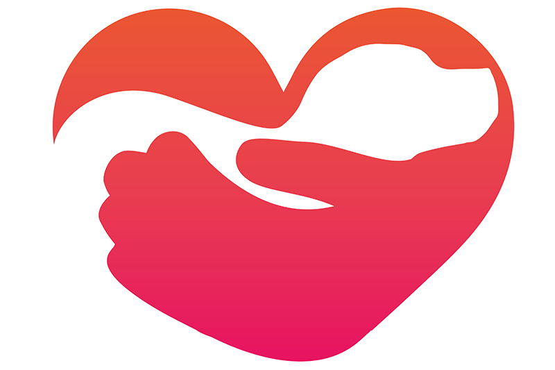 Dierenkliniek Tiel-Drumpt: We streven altijd naar verbetering, nu door het toevoegen van de optie: online afspraken maken bij de dierenarts in Tiel.