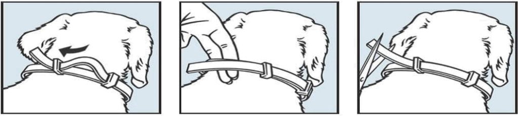 Dierenkliniek Tiel-Drumpt: Seresto halsband voor honden > 8 kg , wijze van aanbrengen.