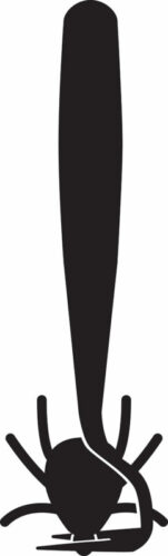 Dierenkliniek Tiel-Drumpt: Teek verwijderen: Schuif het haakje onder de kop door