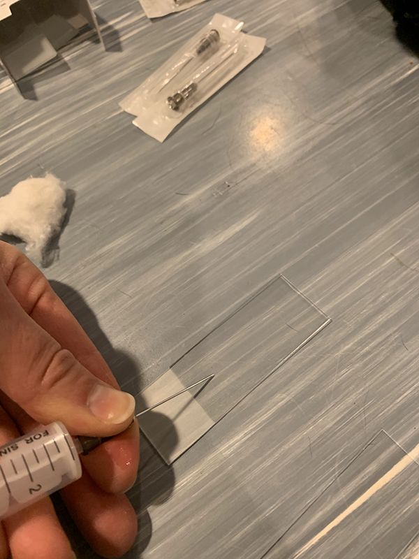 Dierenkliniek Tiel-Drumpt: Een naaldbiopt van een bult (DNAB), materiaal vanuit de naald op het glaasje gaan brengen