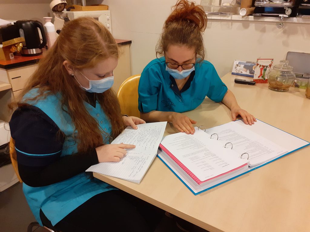 afbeelding Een cursus Pools voor de dierenarts en de paraveterinair