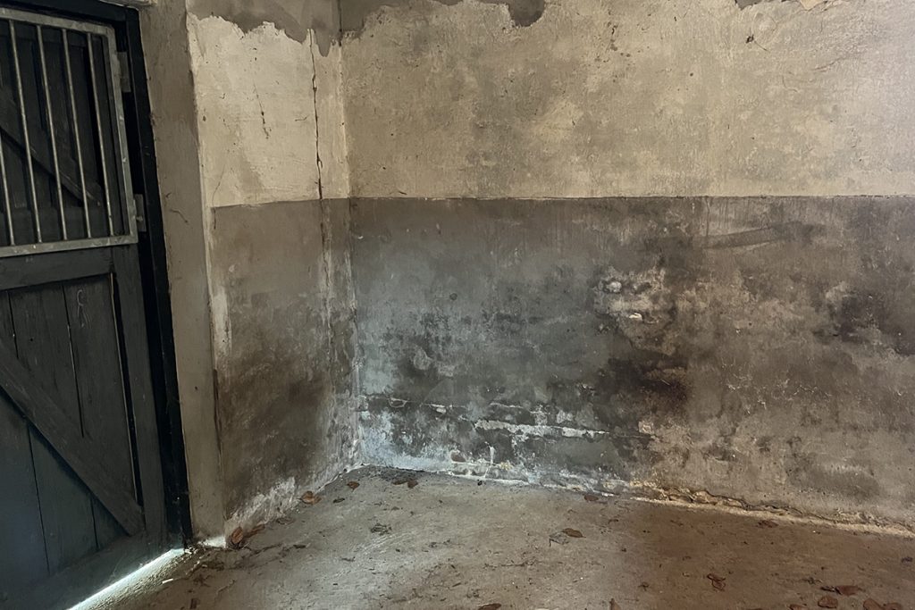 afbeelding De eerste stappen van de verbouwing: