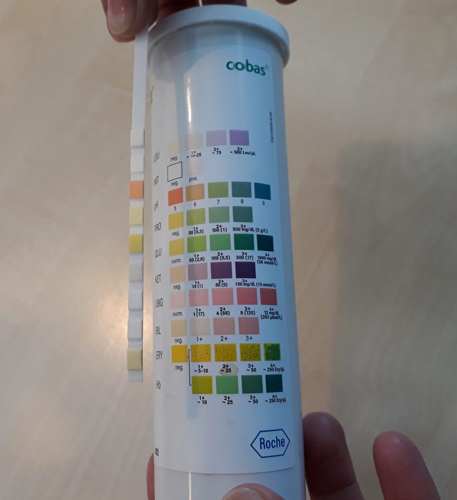 Dierenkliniek Tiel-Drumpt: urineonderzoek: onderzoek met de strip