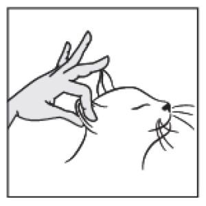 Dierenkliniek Tiel-Drumpt: Mirtazapine