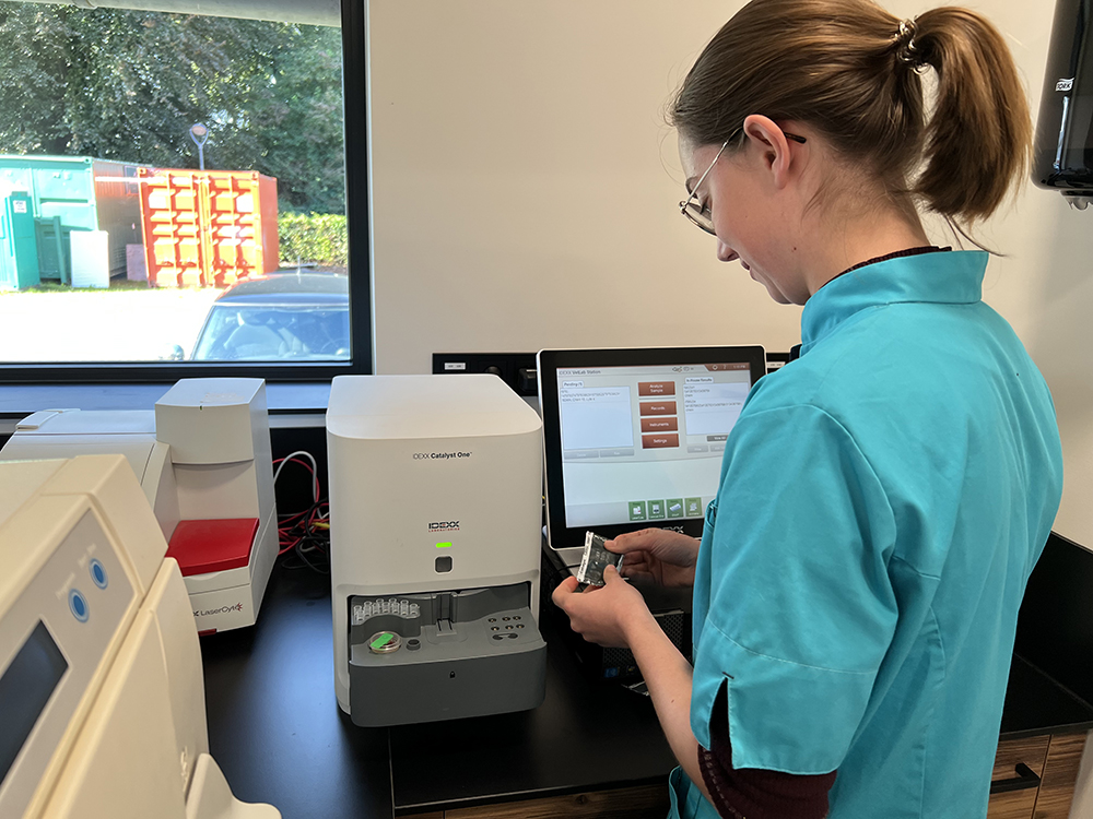 Dierenkliniek Tiel-Drumpt: Bloedonderzoek: inzetten