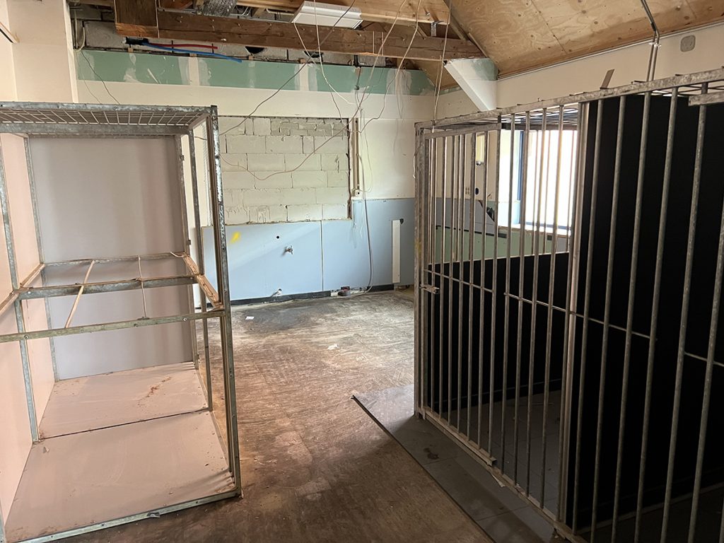 Dierenkliniek Tiel-Drumpt: 7 maanden in de verbouwing: oplossingen en vertraging: De hondenopname met de hokken.