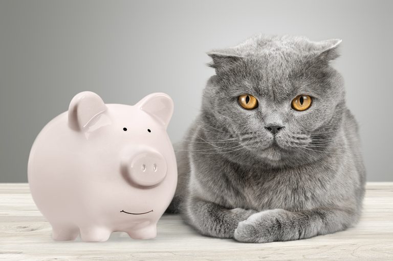 afbeelding Huisdierverzekering, nuttig?