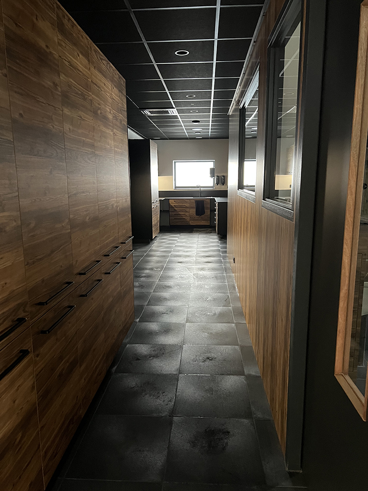 Dierenkliniek Tiel-Drumpt: Laatste blog in de doorlopende serie van de verbouwing van de praktijk: Nieuwe gang