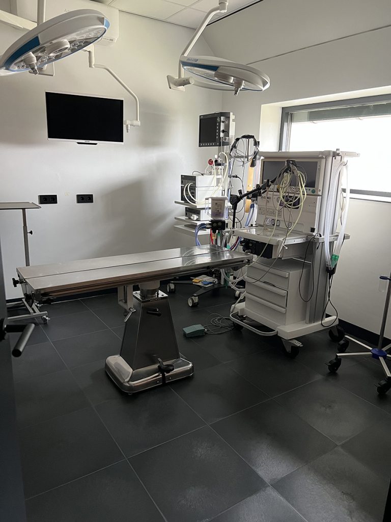 Dierenkliniek Tiel-Drumpt: Laatste blog in de doorlopende serie van de verbouwing van de praktijk: Nieuwe operatiekamer