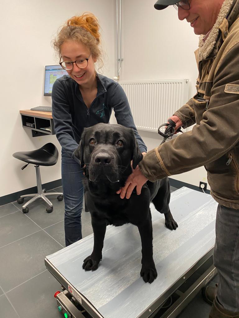 Dierenkliniek Tiel-Drumpt: Laatste blog in de doorlopende serie van de verbouwing van de praktijk: De eerste patiënt in onze nieuwe spreekkamer.