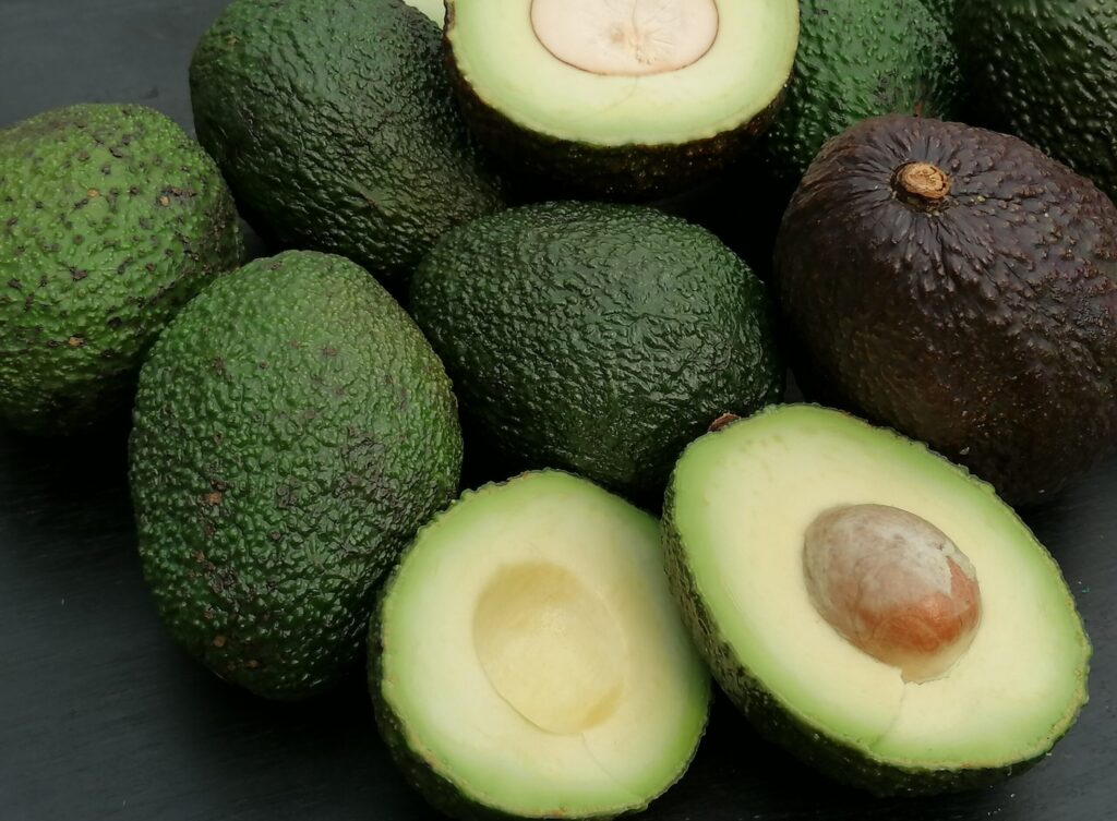 afbeelding Avocadovergiftiging