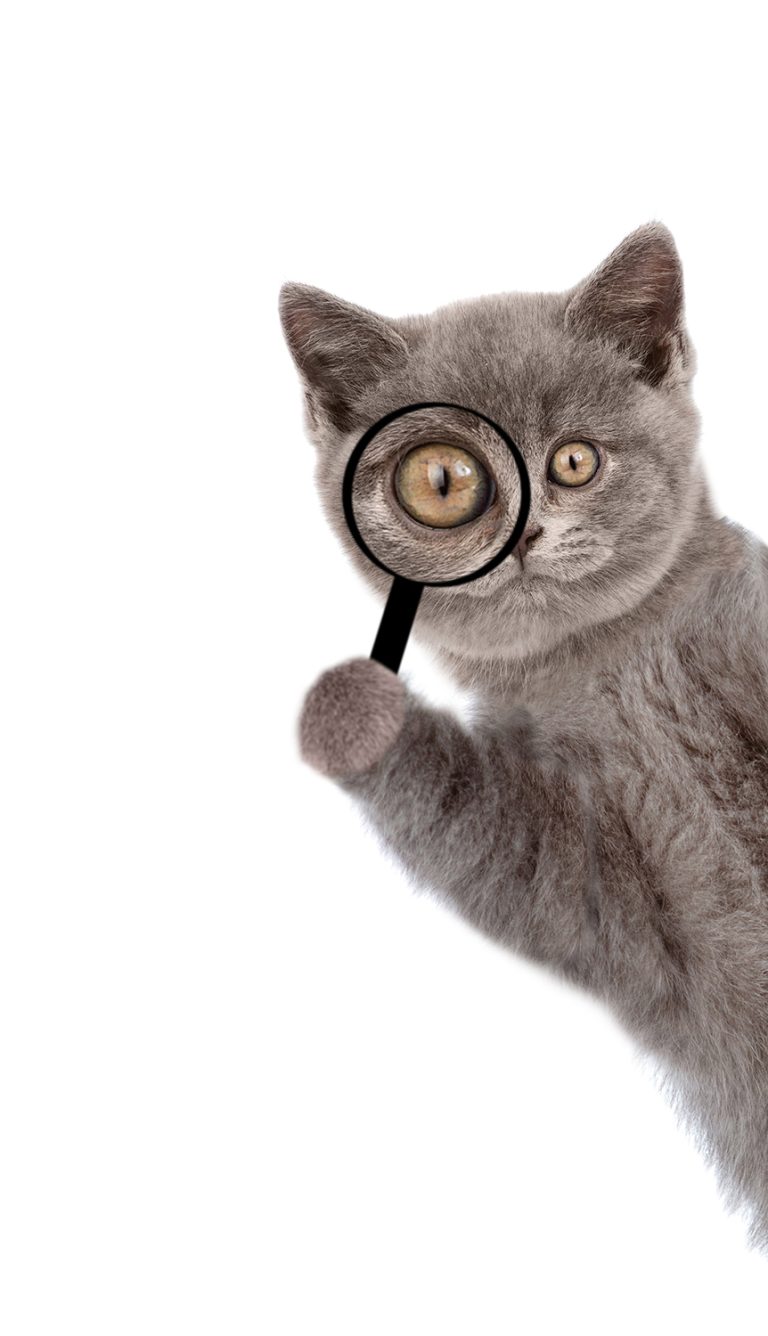 afbeelding Diagnostiek