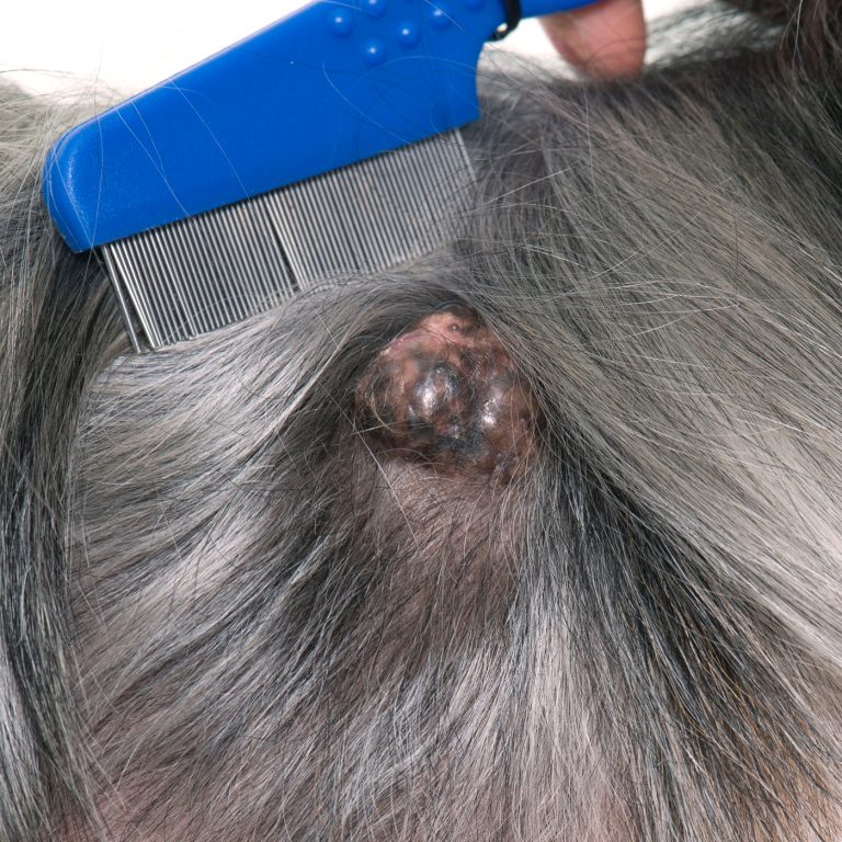 afbeelding Een naaldbiopt van een bult (DNAB), waarom doet de dierenarts dat?