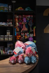 Dierenkliniek Tiel-Drumpt: Wachtkamer: Elke keer weer een ander speeltjes