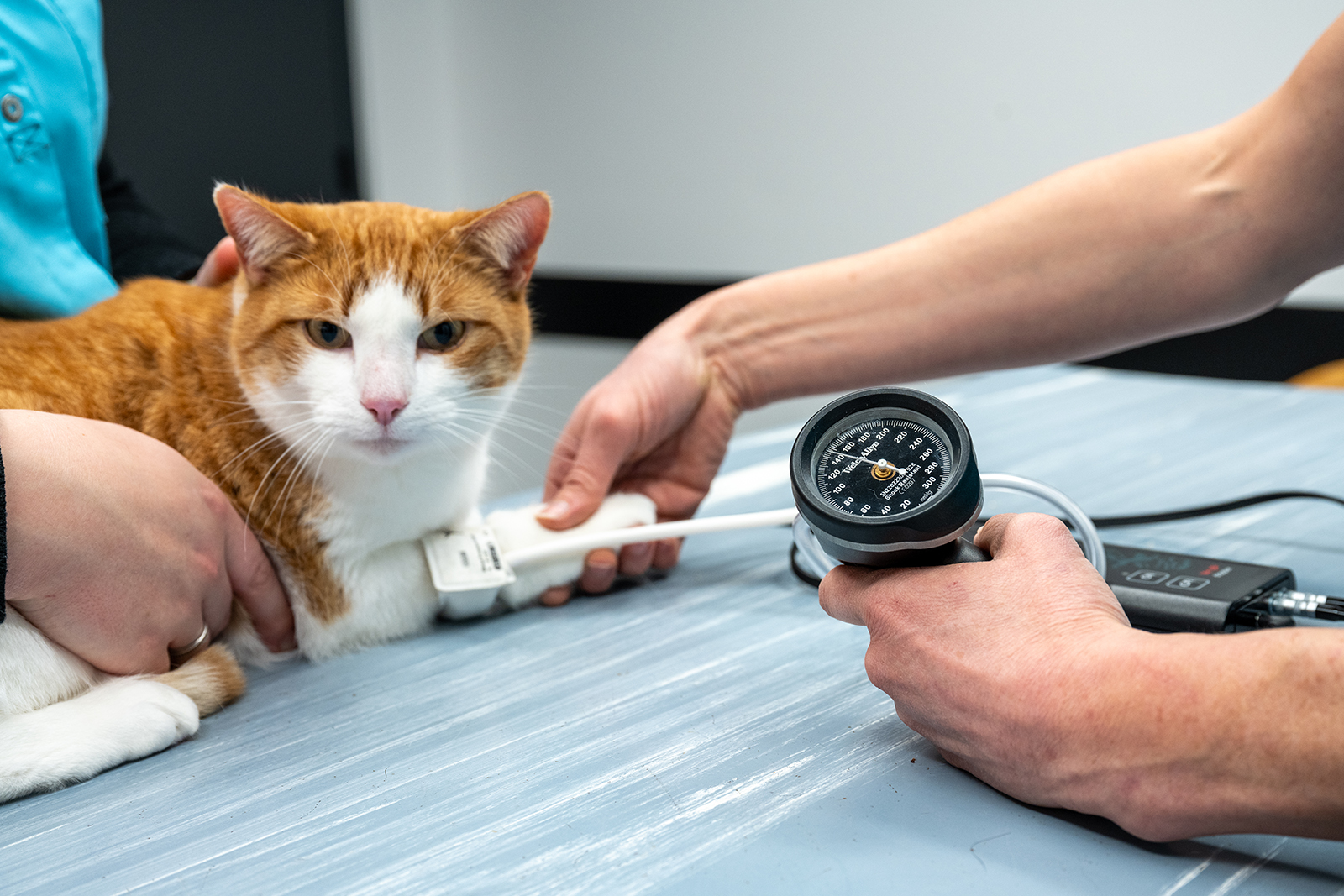 hero afbeelding diagnostiek