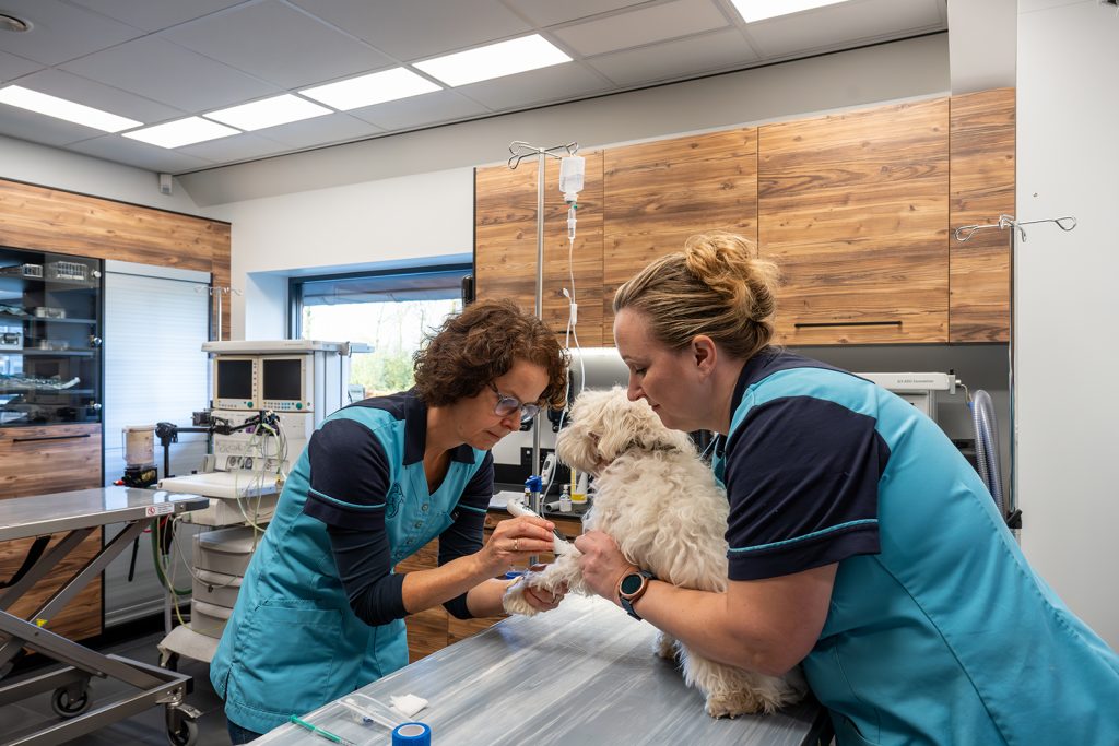 afbeelding Onze voorbereiding