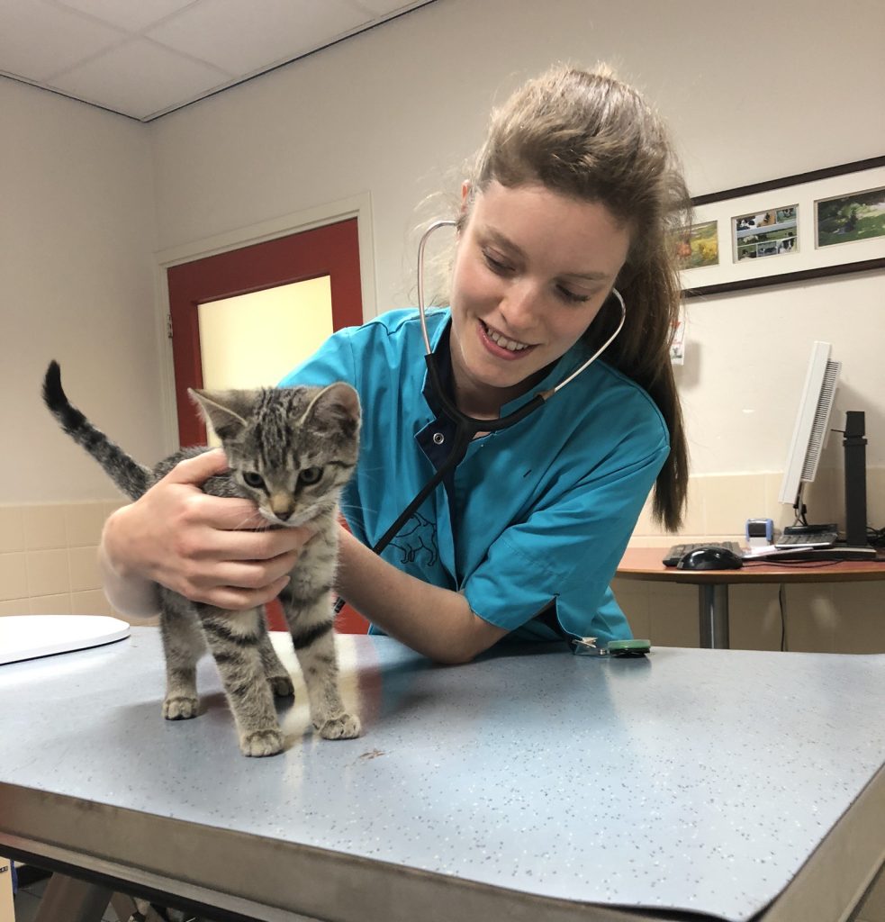 Teamlid Aukje Rappoldt