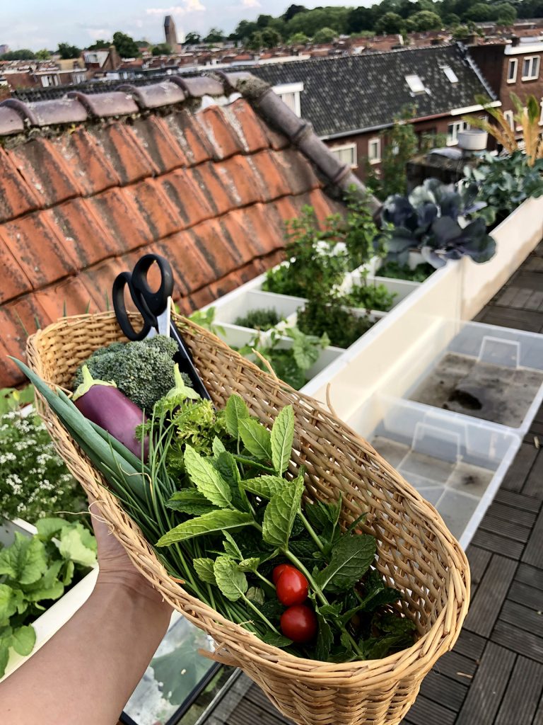 Dierenkliniek Tiel-Drumpt: Moestuinieren, de hobby van Corine