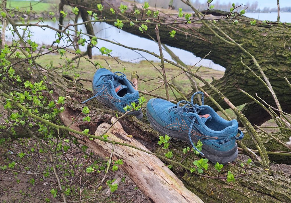 Dierenkliniek Tiel-Drumpt: Josina hobby hardlopen