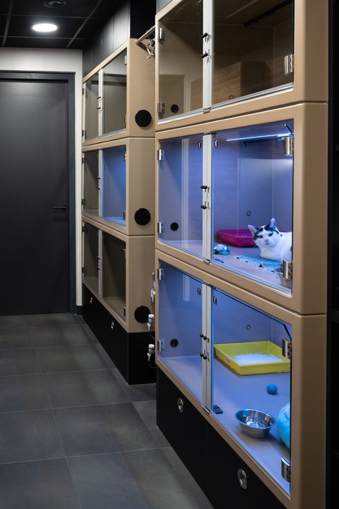 Dierenkliniek Tiel-Drumpt: De katten- en frettenopname: Grote en kleine hokken.